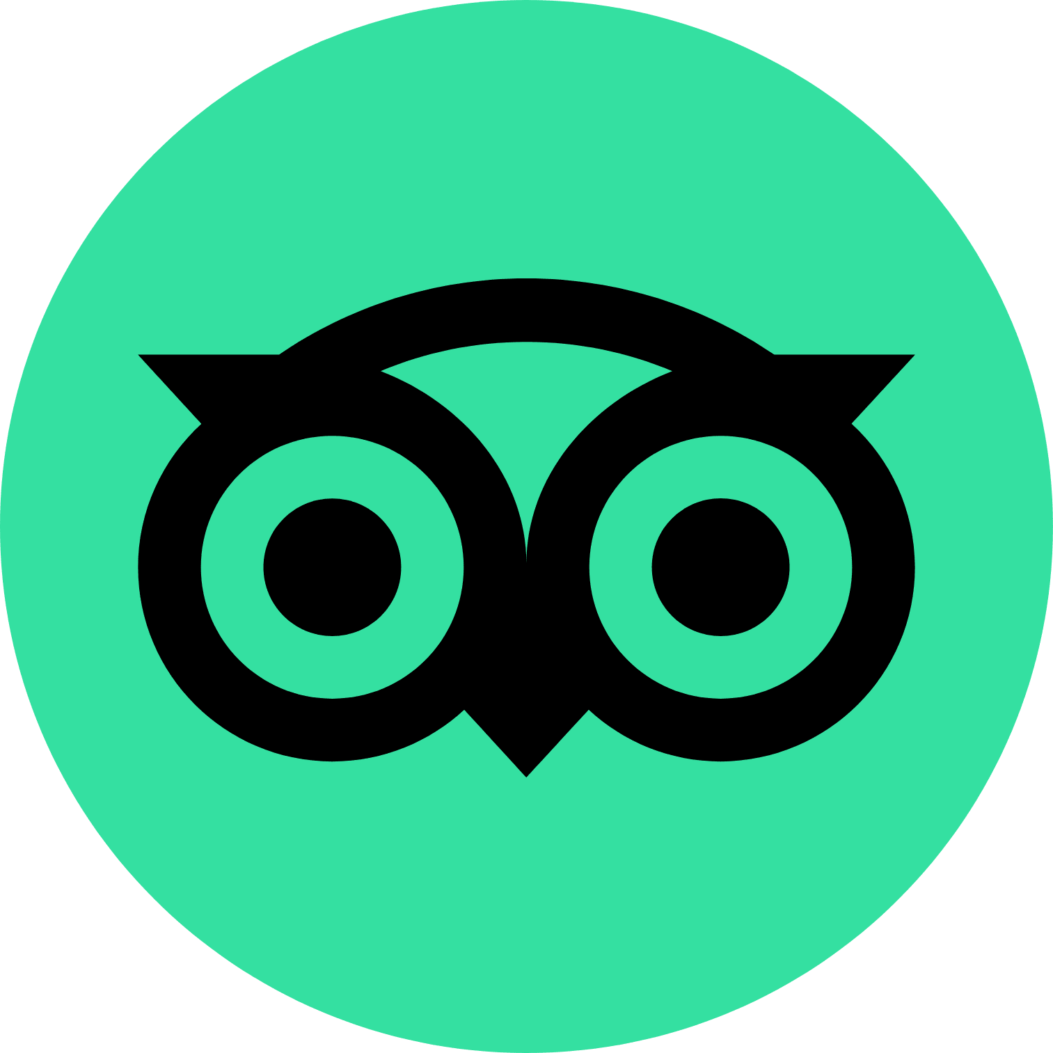 TripAdvisor Logo